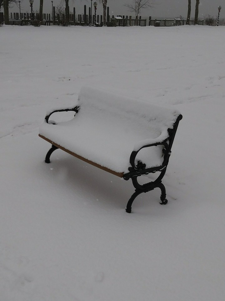 Lonely park bench