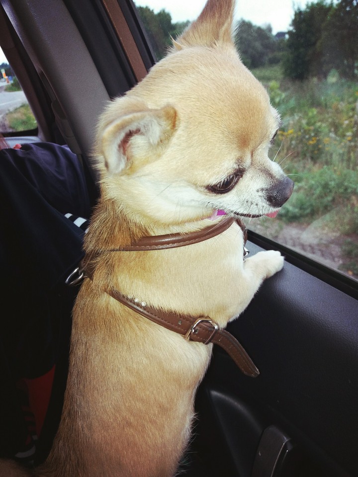 On the way