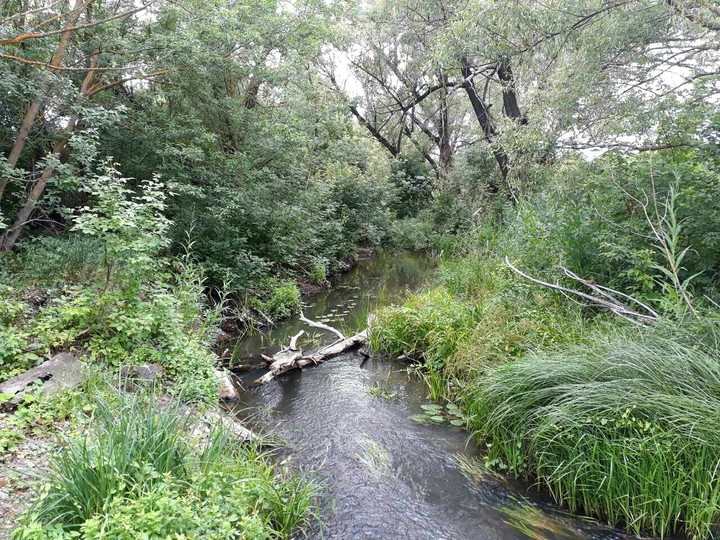 river Accadacca