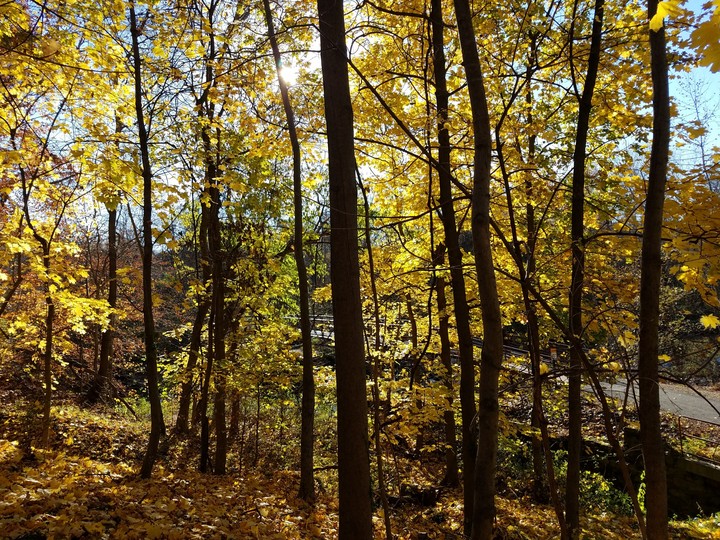 Fall