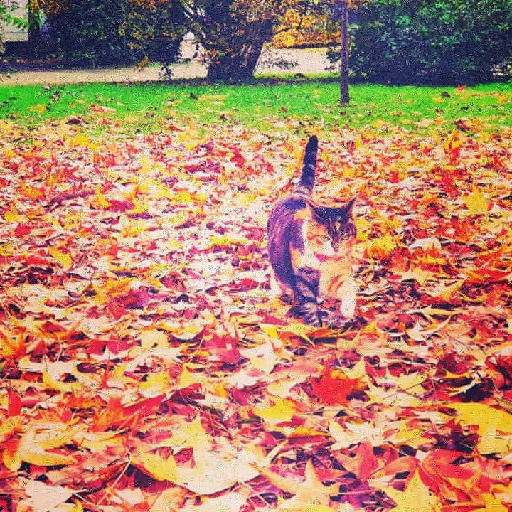 autunno