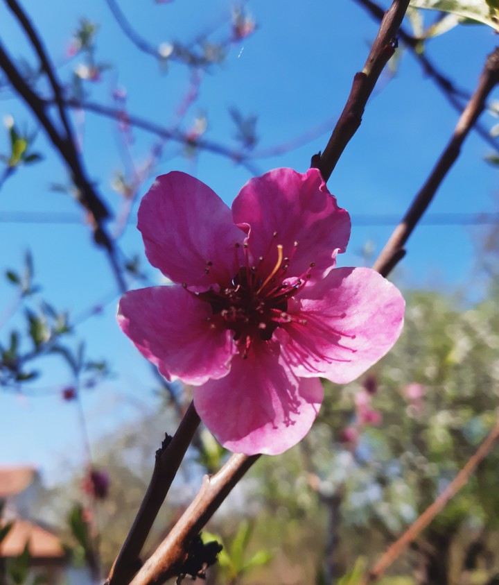 It's all about spring