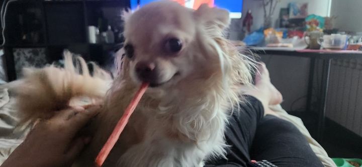 .