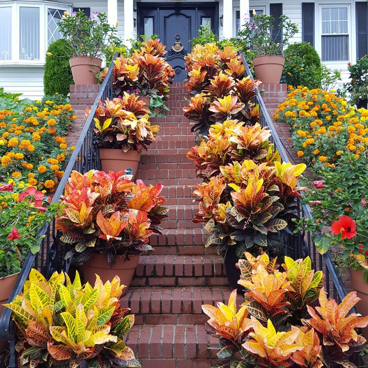fall