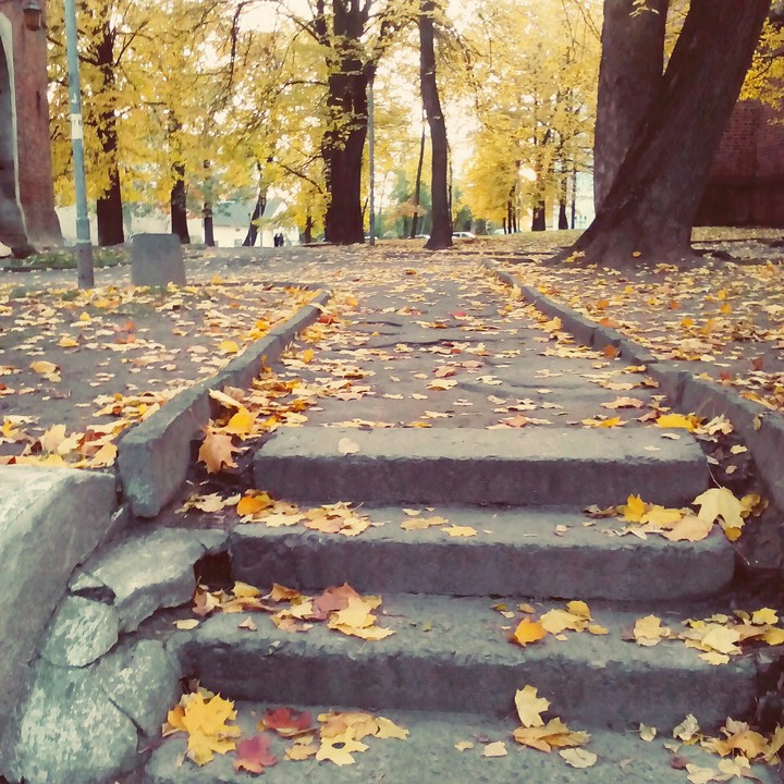 old park