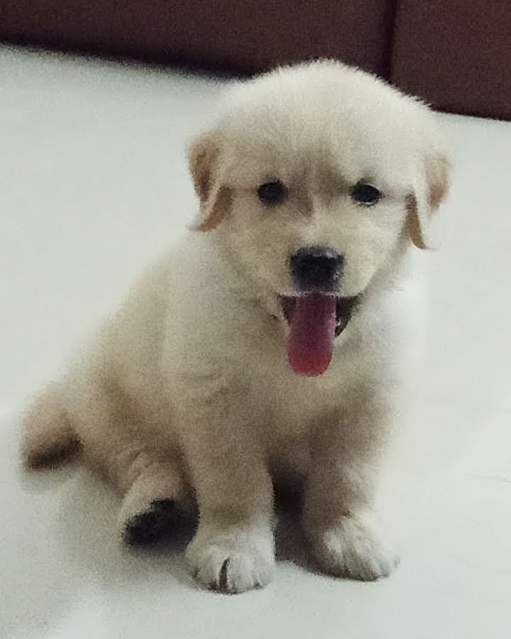 Im soo cutypei. ❤️❤️ 6