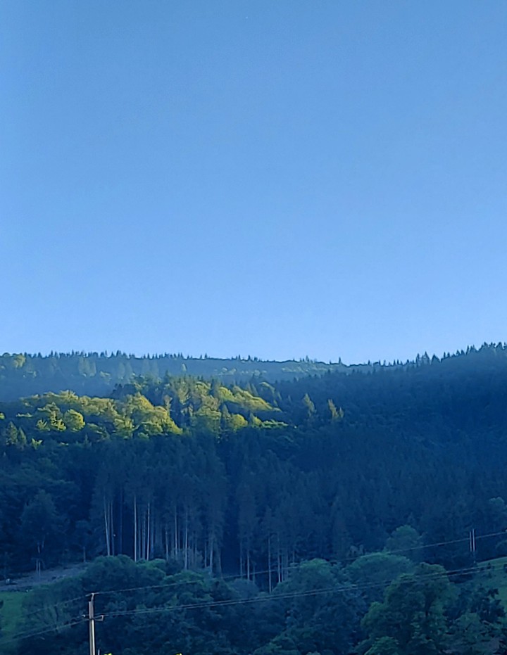 Fernweh