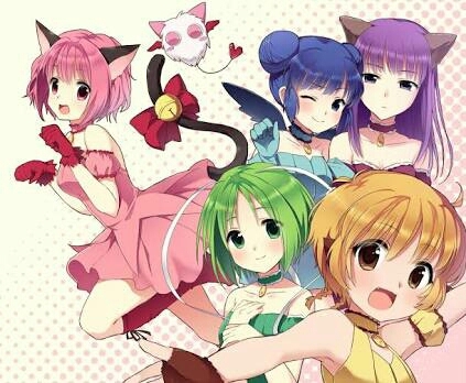 mew mew Tokyo