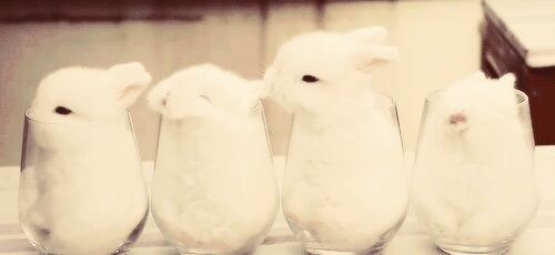 Sweet
