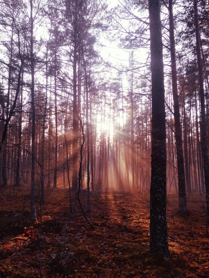 Hello new day!