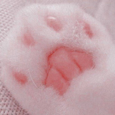 шпалери peach, paint