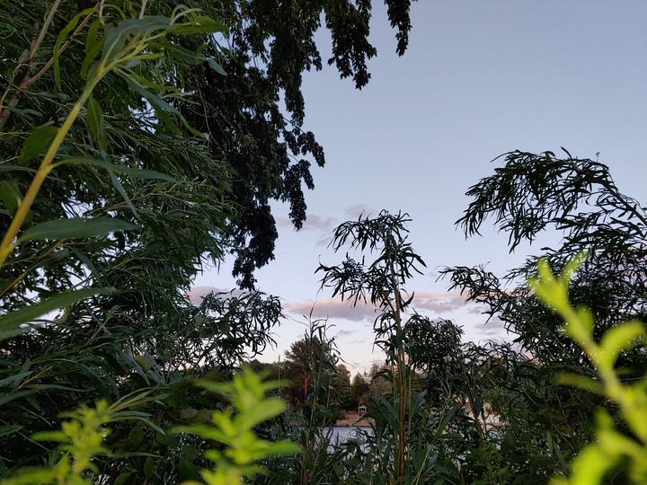 the view from the earth