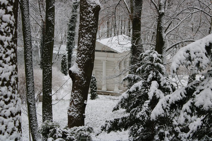 Winter