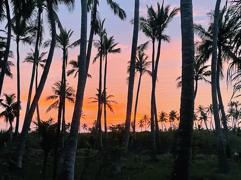 evening, summer Hintergrundbilder
