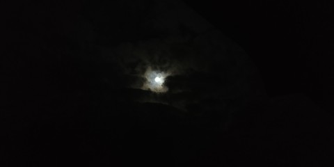 You look awsome in the moon light.