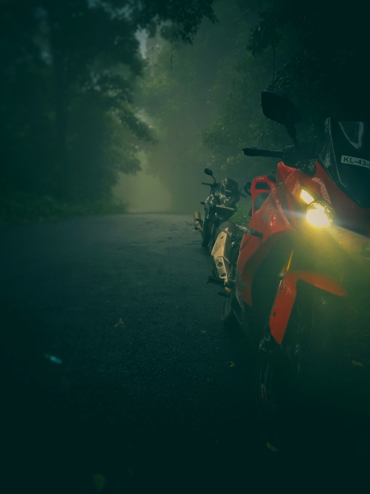 Ride through the mist