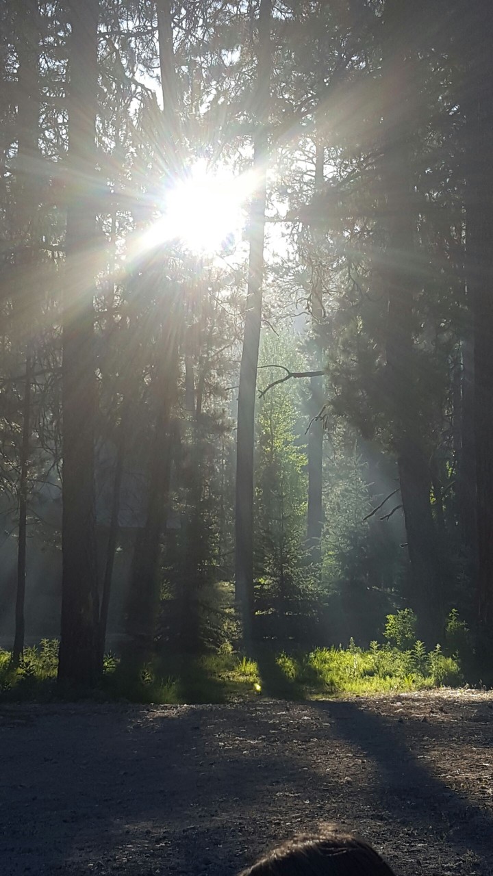 camping