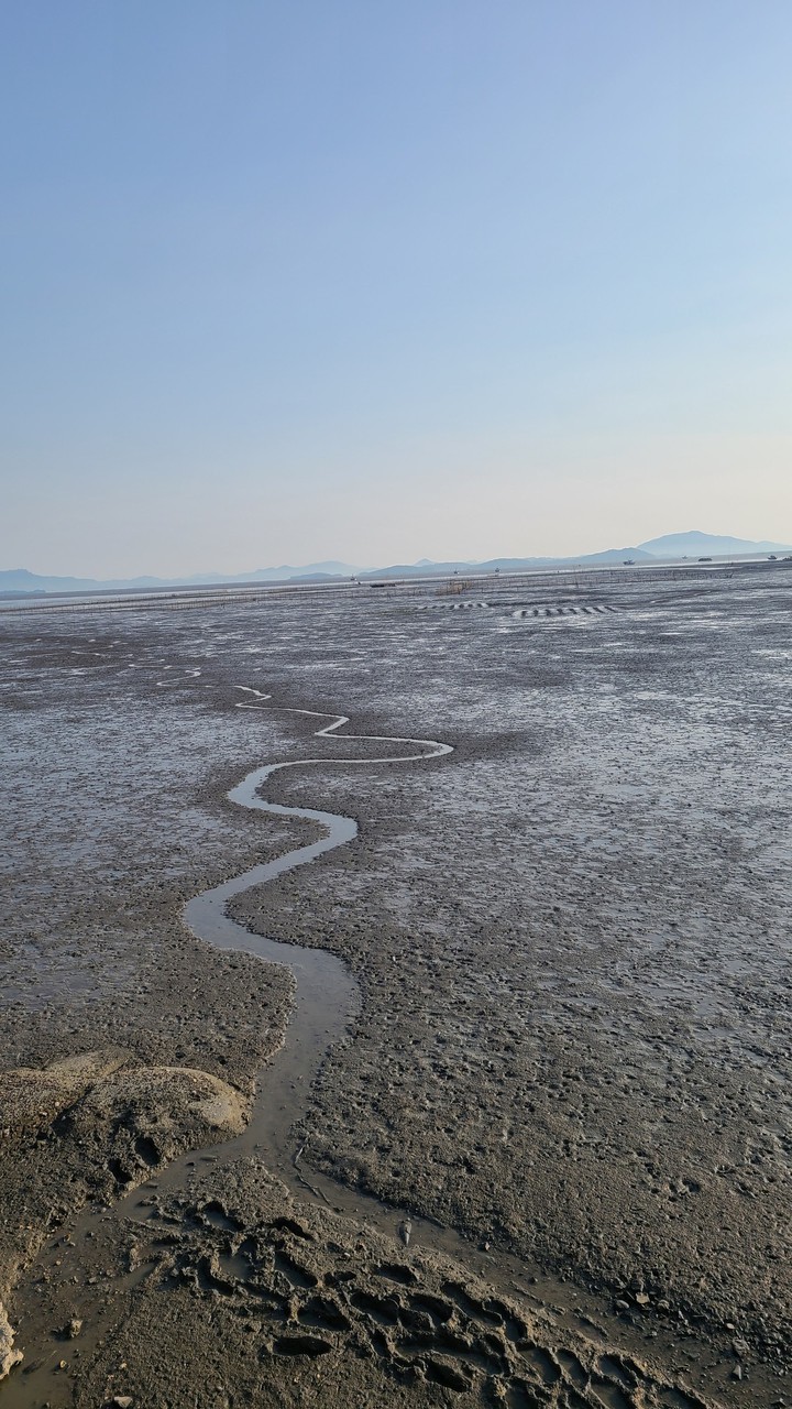 와온해변