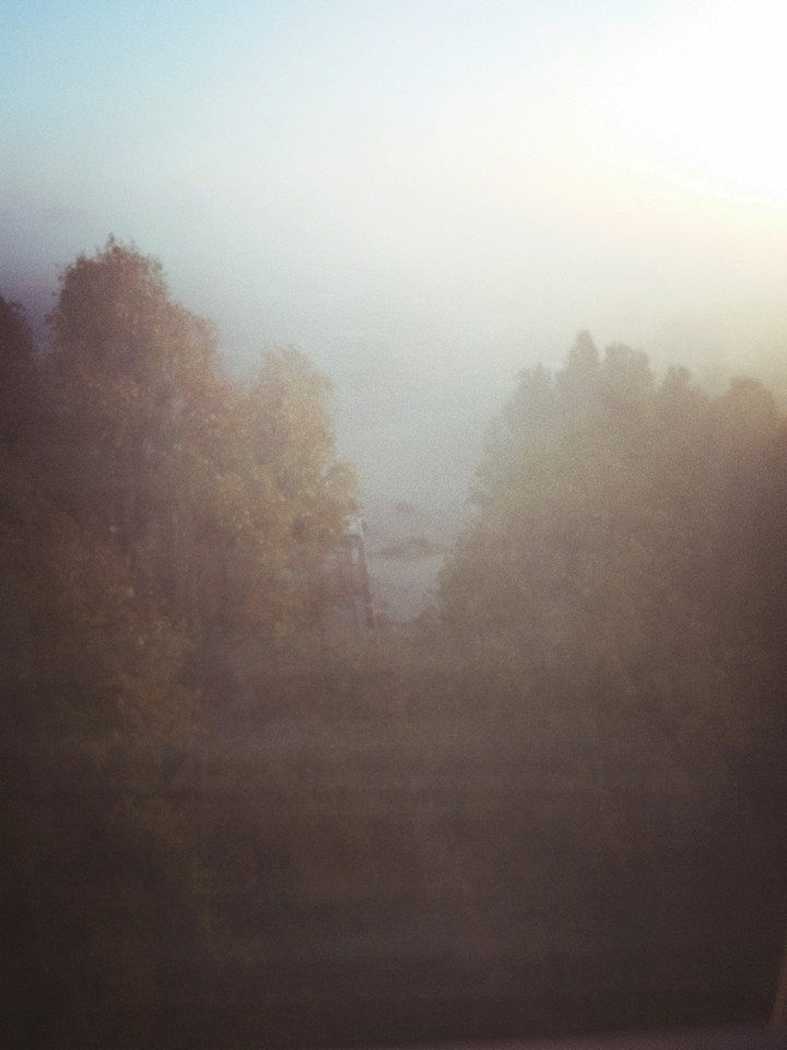 morning