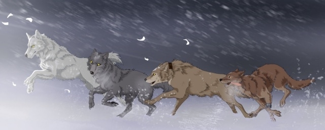 Running Wolves