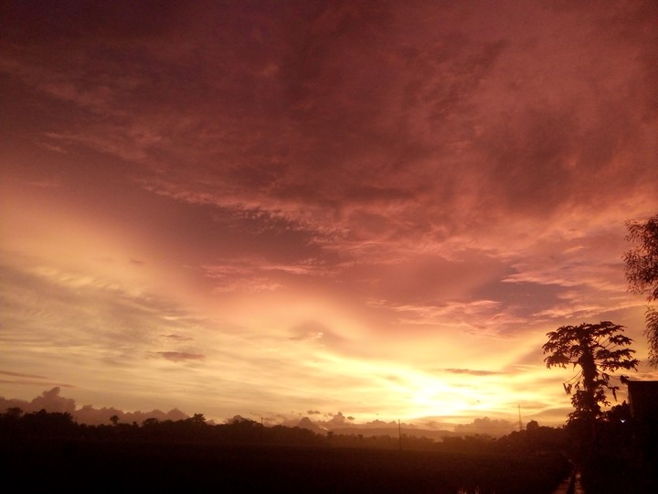 golden sky