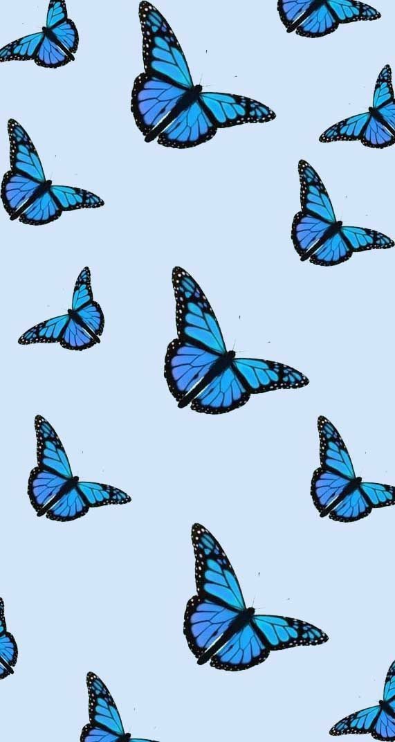 Butterflys