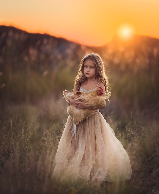 Little farm proncess