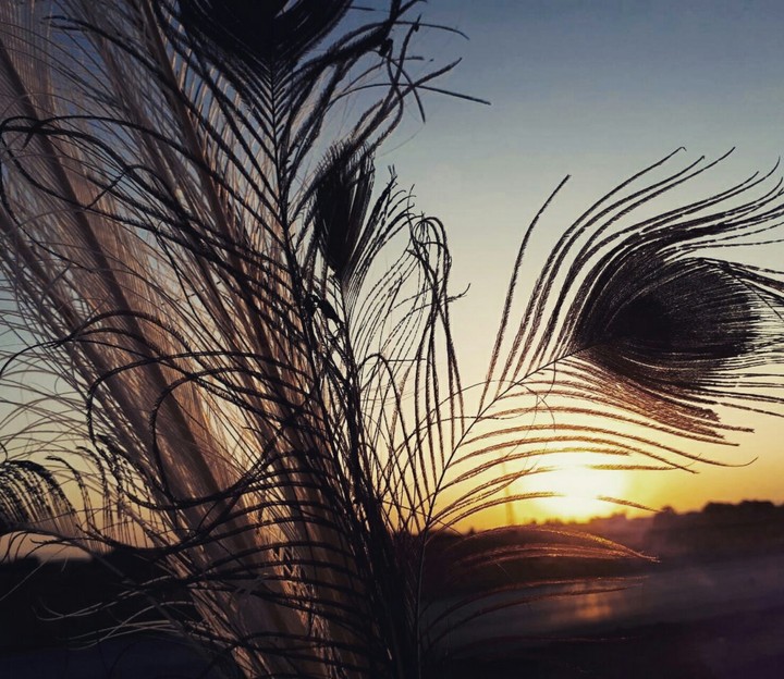 Summer. Beautiful sunset! 