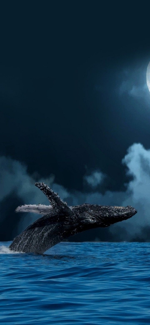 тапети Fin, cloud