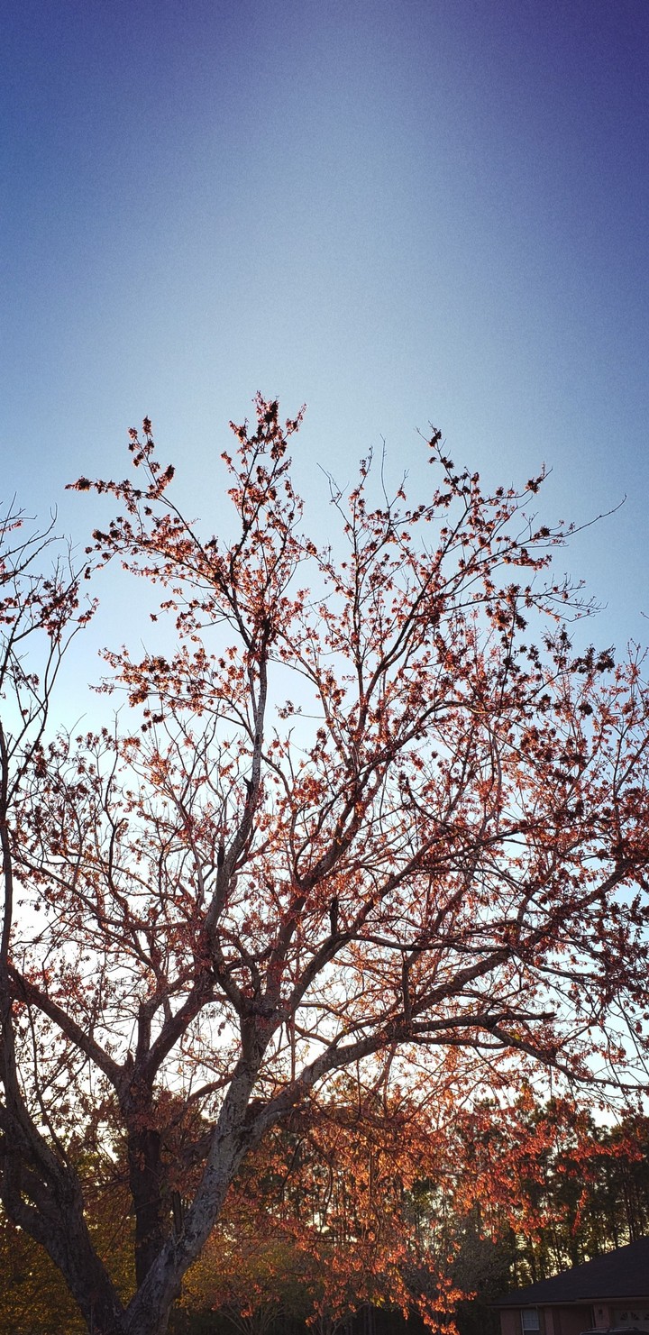 spring time