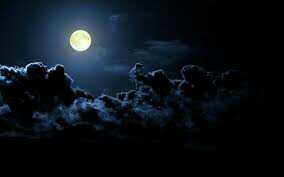 Alone Night