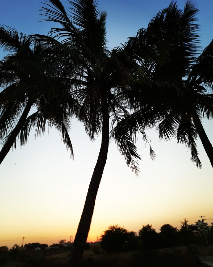 loving nature