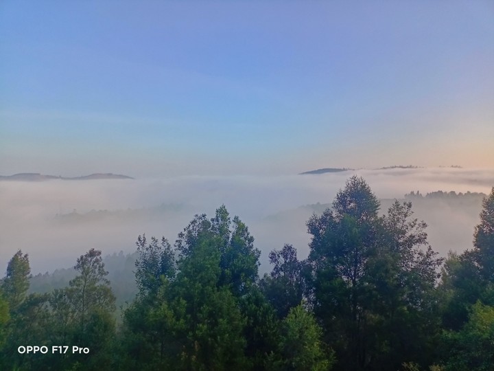 fog