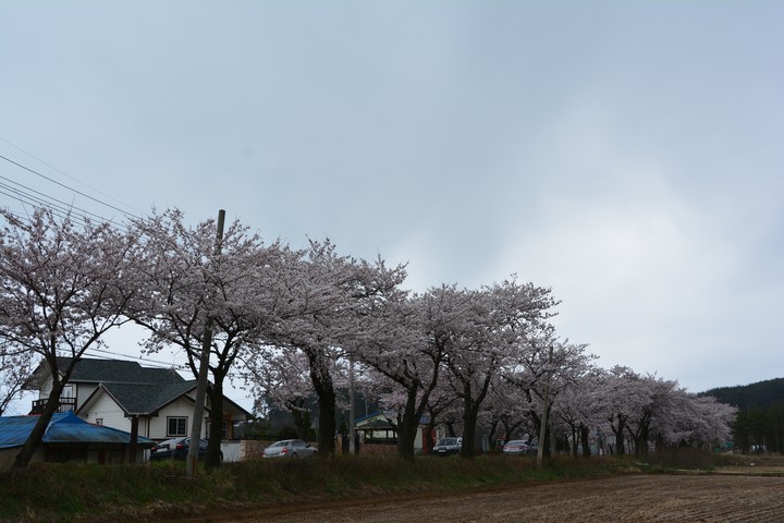 풍경이미지