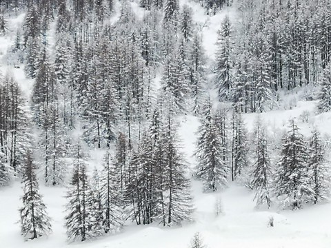 Après la neige