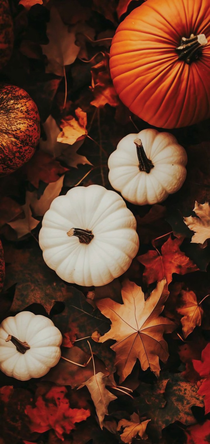 WHITE PUMPKINS