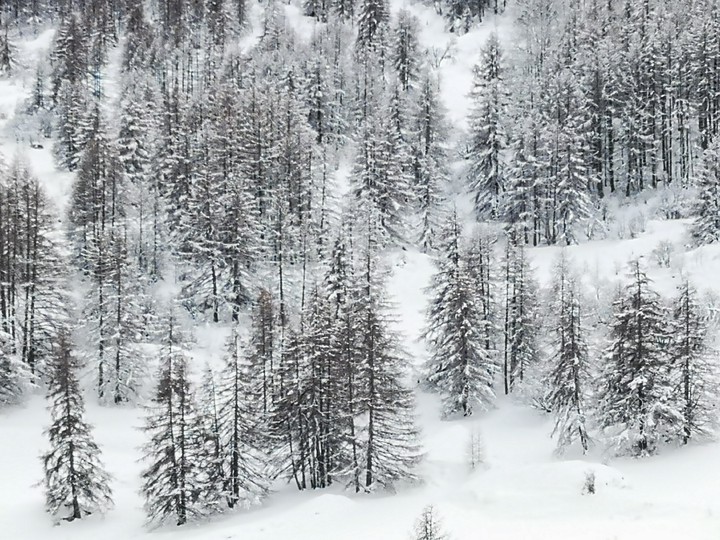 Après la neige