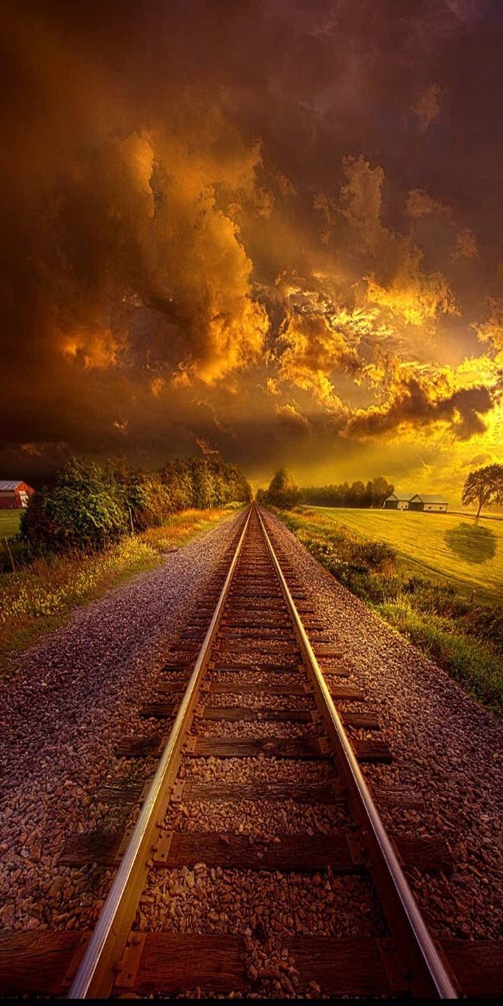 nature