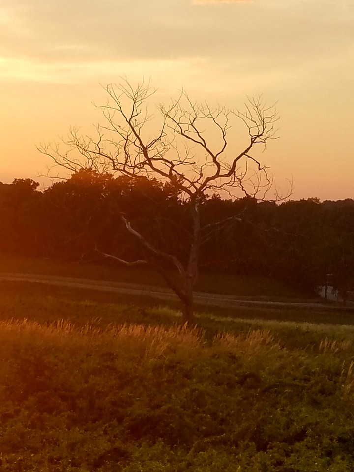 Valley Forge