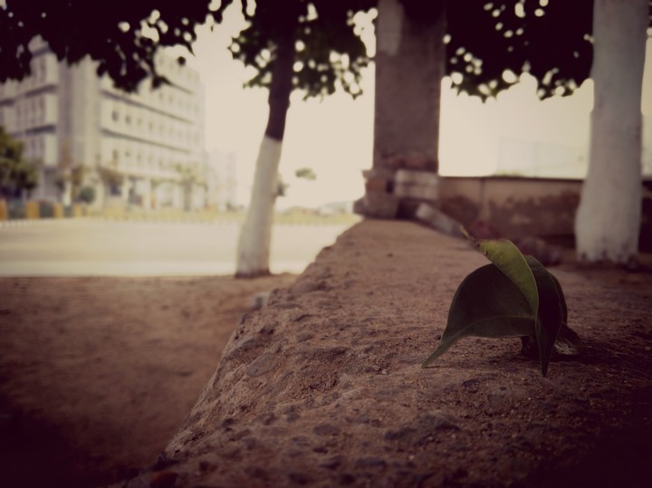 nature love