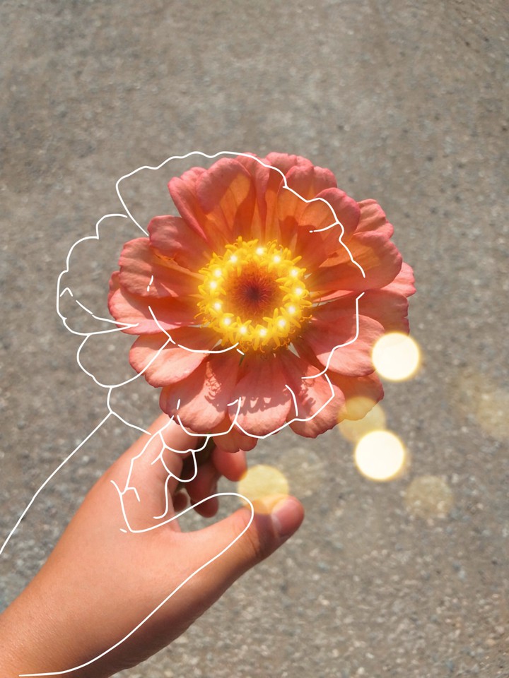 flower