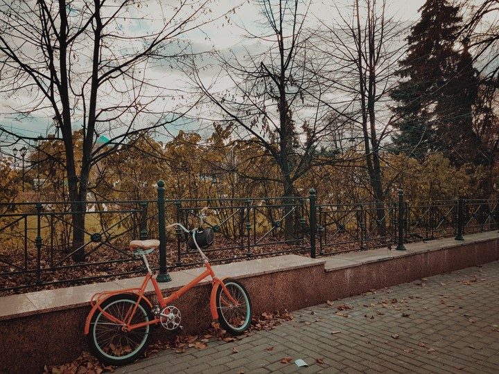 Autumn