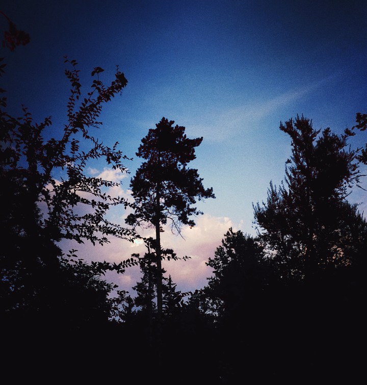 evening