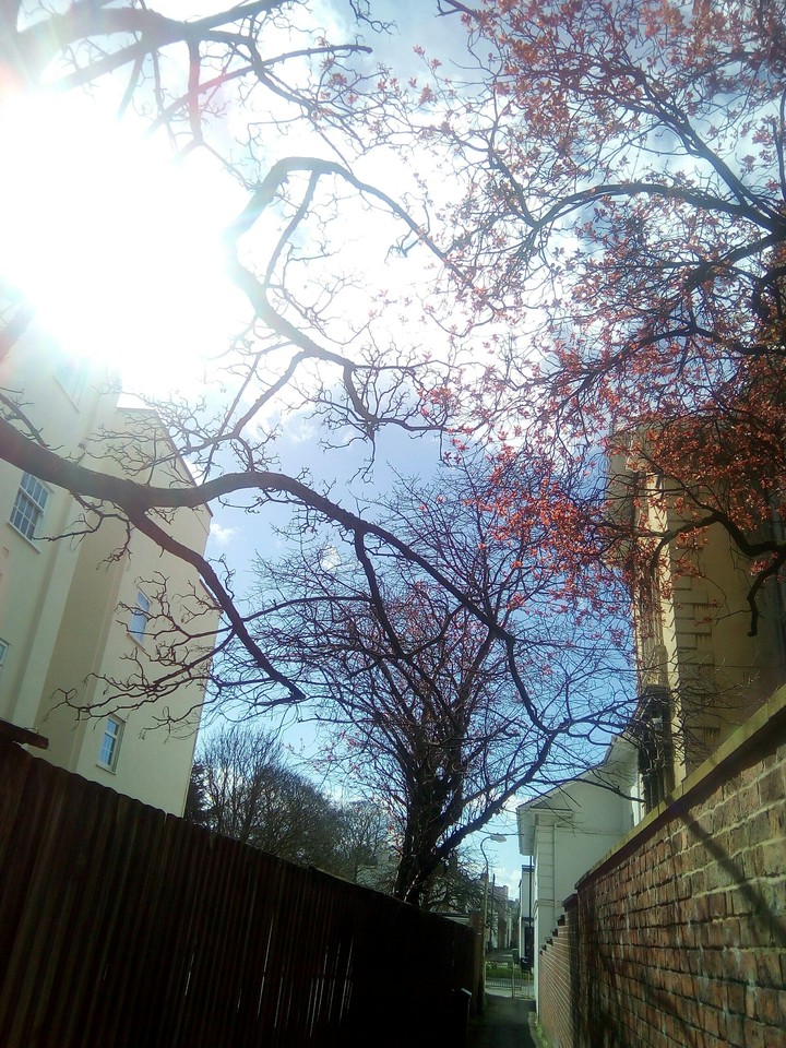 sun