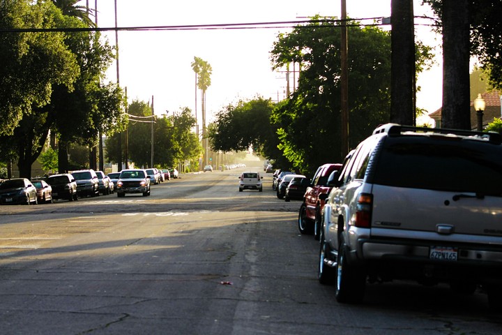 concrete jungle