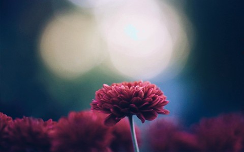 nice flover ❤