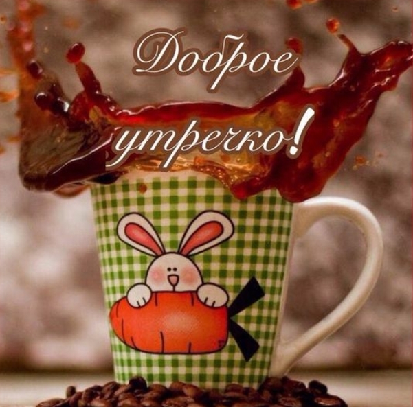 good morning