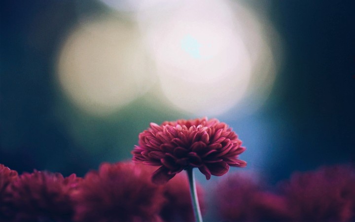 nice flover ❤