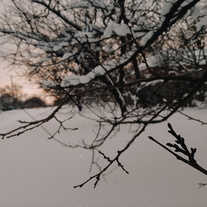 Before sunset
