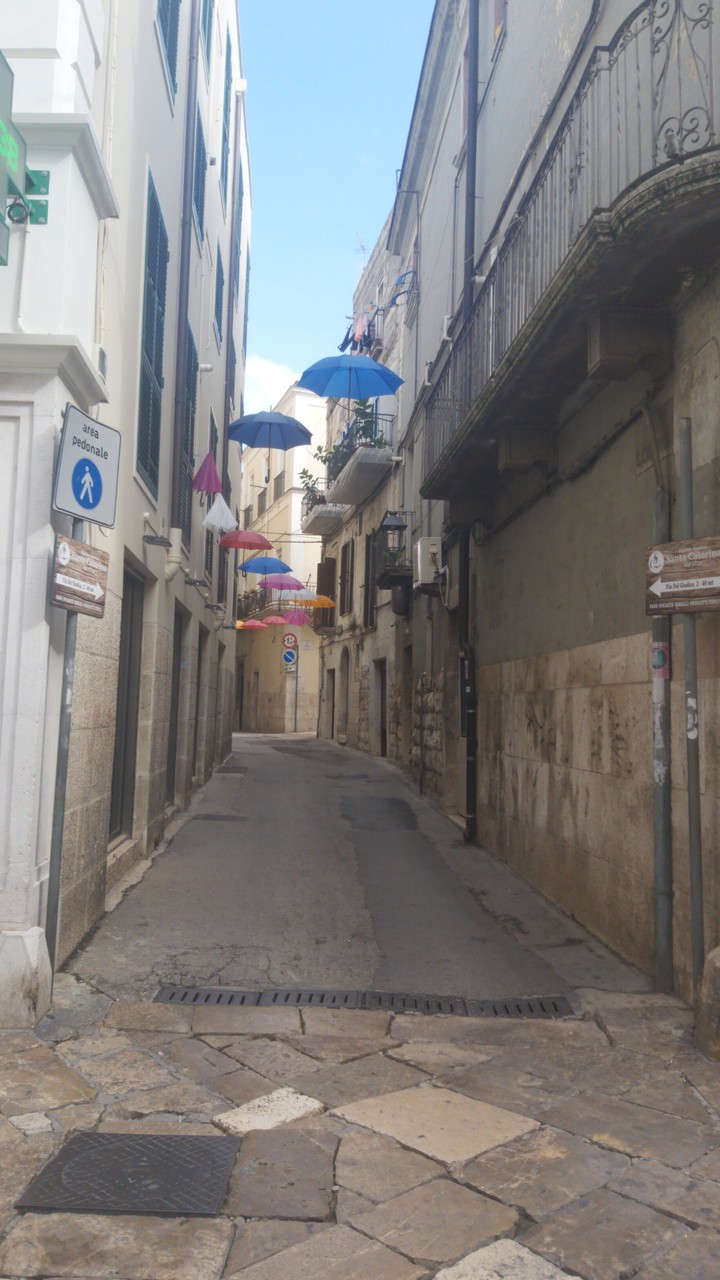 Umbrella Street